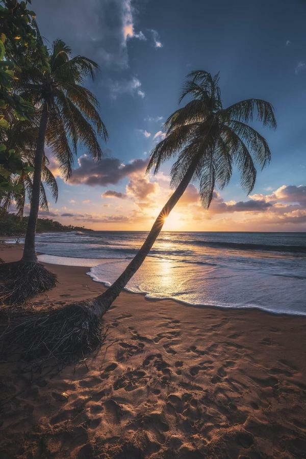 La Louisiane Hébergement de vacances *